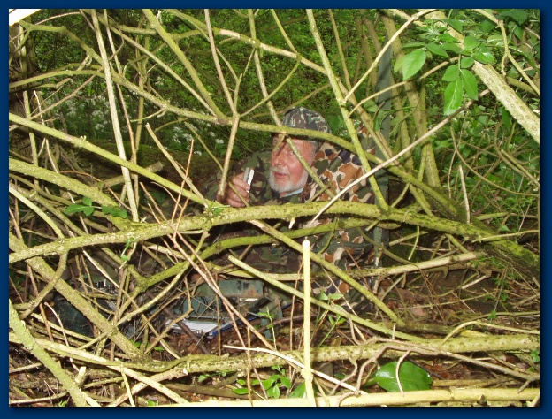 600x449 pixels (208K)